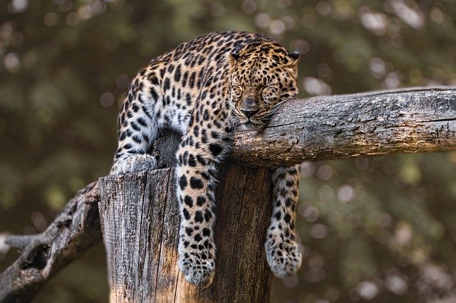 zoo-640