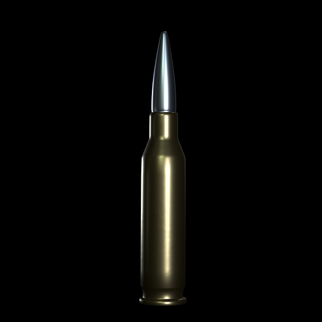 bullet